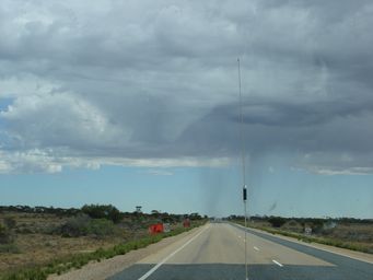 tn_nullarborraindsc04261.jpg