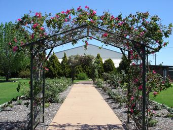 tn_pittsworth_dsc05970s.jpg