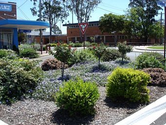 tn_pittsworth_dsc05972.jpg