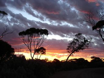 tn_restareasunsetdsc04267.jpg