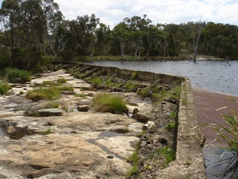 tn_severnleaweirdsc06013s.jpg