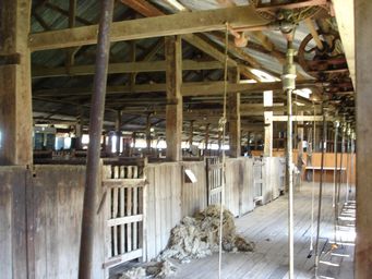 tn_shearingsheddsc05874.jpg