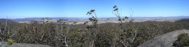 tn_timbarra_lookout_banner.jpg