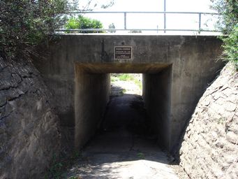 tn_warraunderpass.jpg
