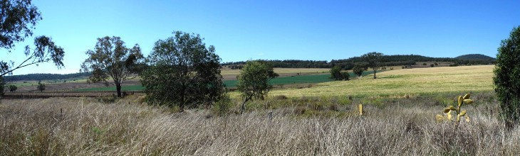 travasmtc2009c006003.jpg
