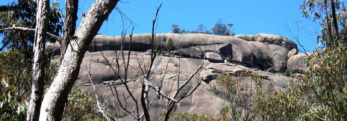 travasmtc2009c008002.jpg