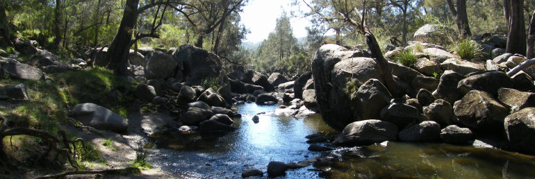 travasmtc2009c014001.jpg