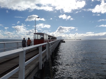 341xbusselton_jetty_dscf3183s.jpg