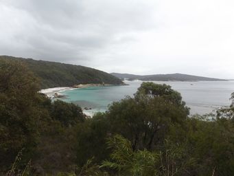 albanyquarramdscf2282.jpg