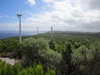 tn_12turbinesalbany.jpg