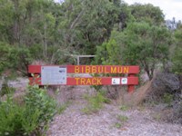 tn_albanybibbulmumtrack.jpg