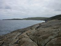 tn_albanyblowholes.jpg