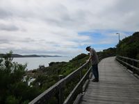 tn_albanyboardwalk1.jpg