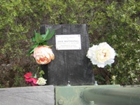 tn_albanyellencovememorial.jpg
