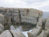 tn_albanygap2.jpg