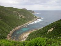 tn_albanyjimmyharbour.jpg
