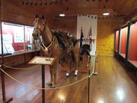 tn_albanylighthorse.jpg