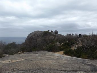 tn_albanystonyhilldscf2255.jpg