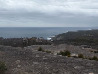 tn_albanystonyhilldscf2259.jpg