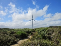 tn_albanywindturbine3.jpg
