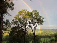 tn_bridgetownrainbow.jpg