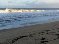 tn_bunbury_back_beach.jpg