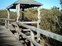 tn_bunburymangrove.jpg