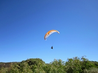 tn_hangglider2.jpg