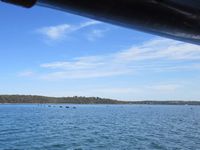 tn_kalgan11mussellfarm.jpg