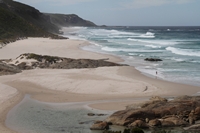 tn_lightsbeach2.jpg