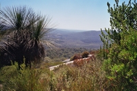 tn_mtfrankland1.jpg