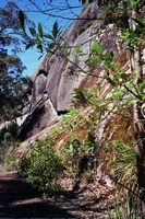 tn_mtfrankland3.jpg