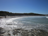 tn_parrybeach.jpg
