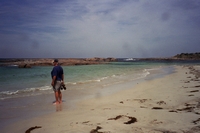 tn_peacefulbay.jpg
