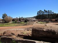 tn_pembertontimbermill2.jpg
