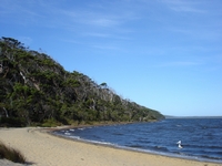 tn_sandybeach.jpg