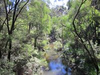 tn_tramcreek.jpg