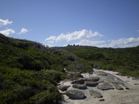 tn_williambaynp.jpg
