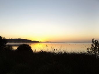 tn_wilsoninletsunrisedscf2075c.jpg