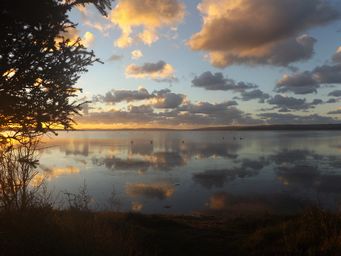 tn_wilsoninletsunrisedscf2308.jpg