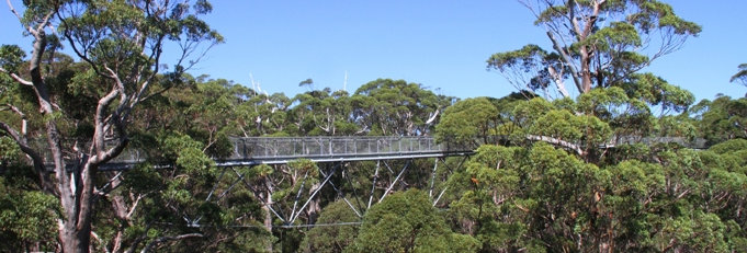 travasmtc2010004001.jpg