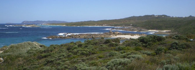 travasmtc2010005001.jpg
