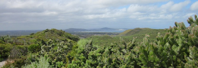 travasmtc2010015001.jpg