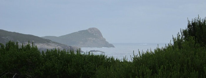 travasmtc2010019002.jpg