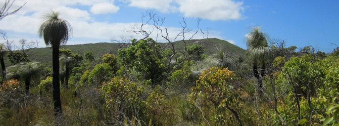 travasmtc2010025001.jpg