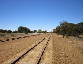 travasmtc2010031001.jpg