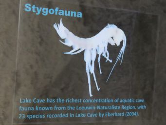 341_cave_display_img_8213sc.jpg
