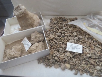 341_cave_display_img_8214c.jpg