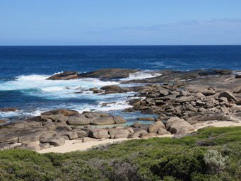 341_the_point_contos_img_8238s.jpg