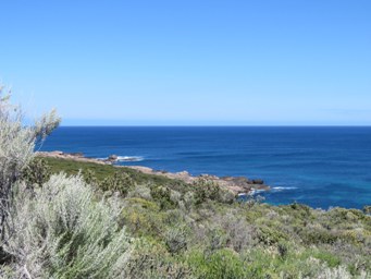 341_the_point_contos_img_8244s.jpg